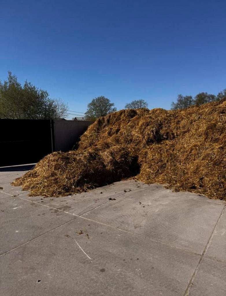 Gratis af te halen paardenmest (stro of houtkrullen), Enlèvement, Fumier
