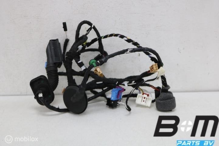 Portierkabelboom linksvoor VW Golf 8R 5H4971161JE, Gebruikt