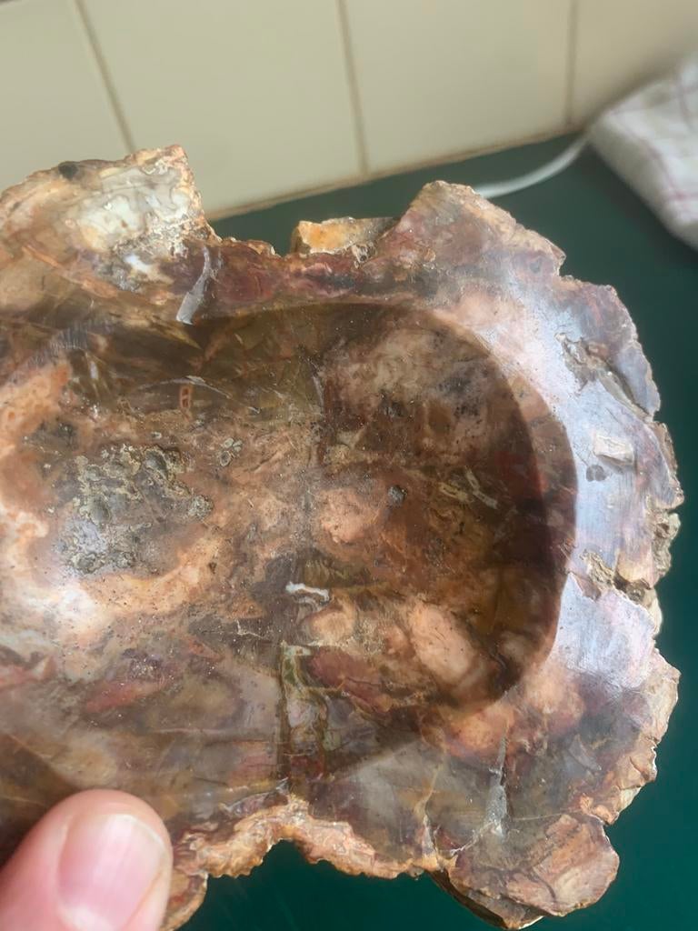Asbak van versteend hout, Verzamelen, Ophalen of Verzenden