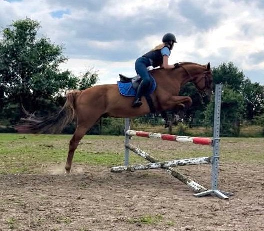 Brave allrounder 15j, Ruin, B