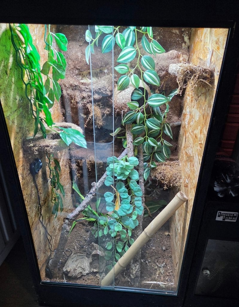 Groot Terrarium OSB, Enlèvement, Utilisé, Autres types