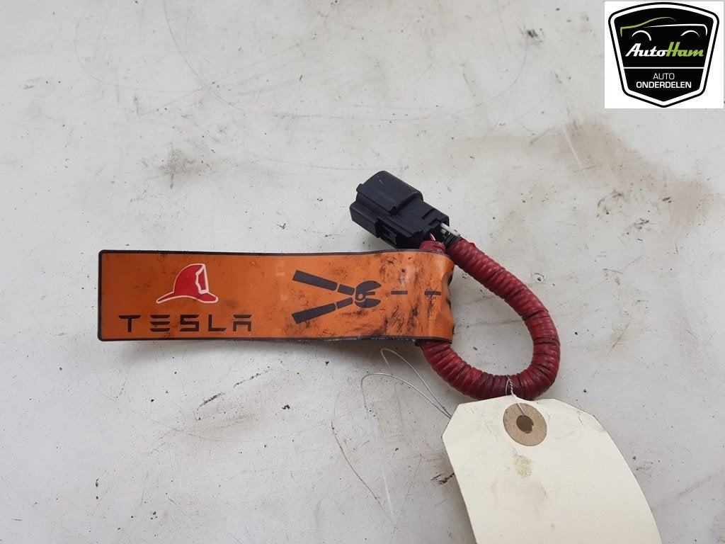 CABLE Tesla Model X (01-2013/-) (|101558500A|), Dhr. J. Ham, Administratie@autoham.nl, Utilisé, Autres marques automobiles