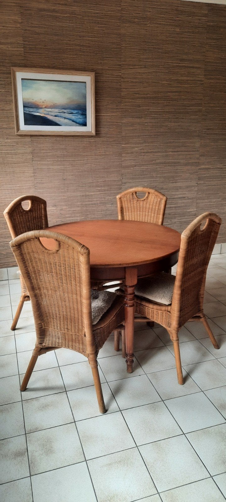 houten tafel en 4 rieten rotan stoelen, Ophalen