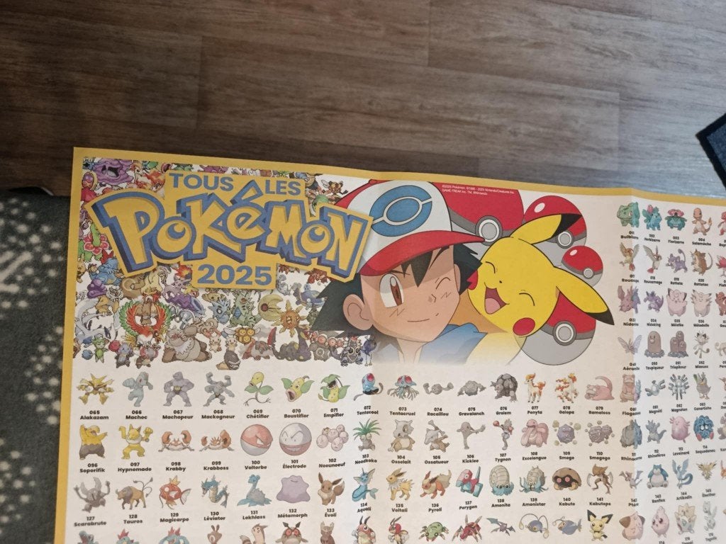 poster pokemon 1025 pokemon entierement en français, Hobby en Vrije tijd, Ophalen of Verzenden, Zo goed als nieuw, Overige typen