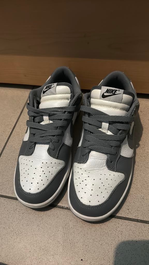 Nike dunks 42, Kleding | Heren, Schoenen, Overige kleuren, Nieuw, Ophalen of Verzenden, Sneakers