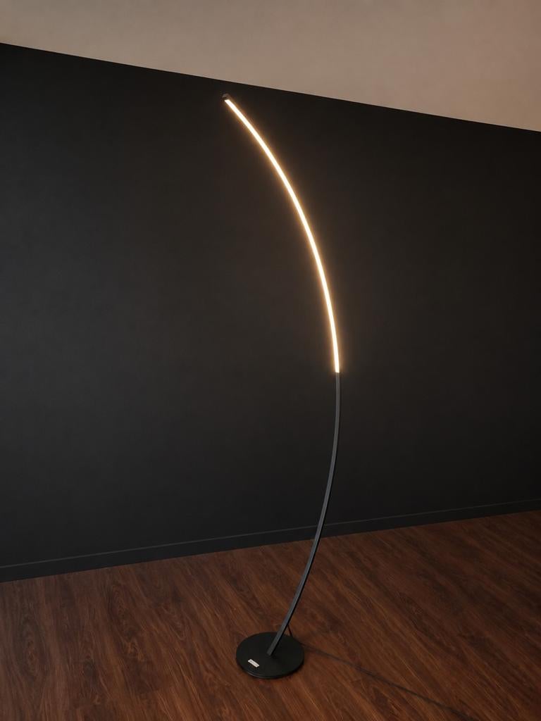 Staanlamp led  met schuifbare regelaar, Ophalen