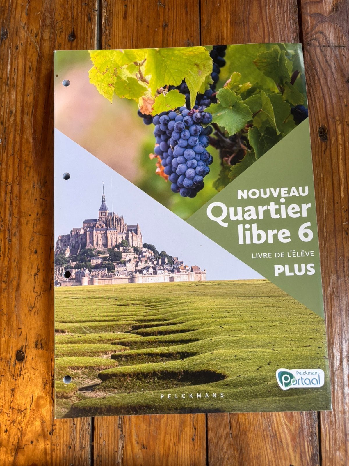 Nouveau Quartier libre 6 Plus Livre de l'élève, Boeken, Ophalen, Nederlands