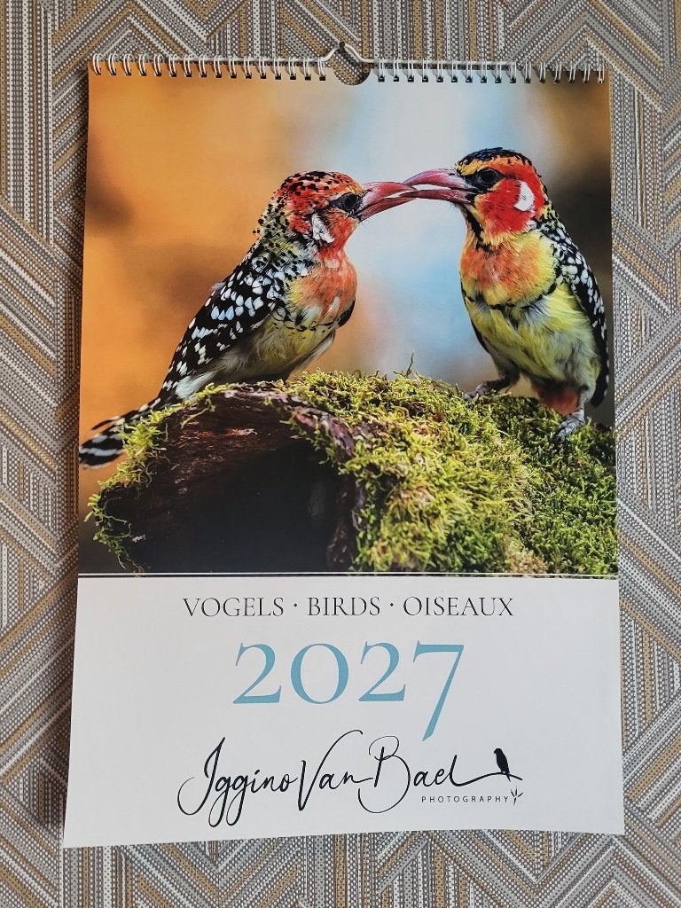 vogelkalenders te koop op oa. de vogelmarkt in putte, Dieren en Toebehoren, Geslacht onbekend, Tropenvogel