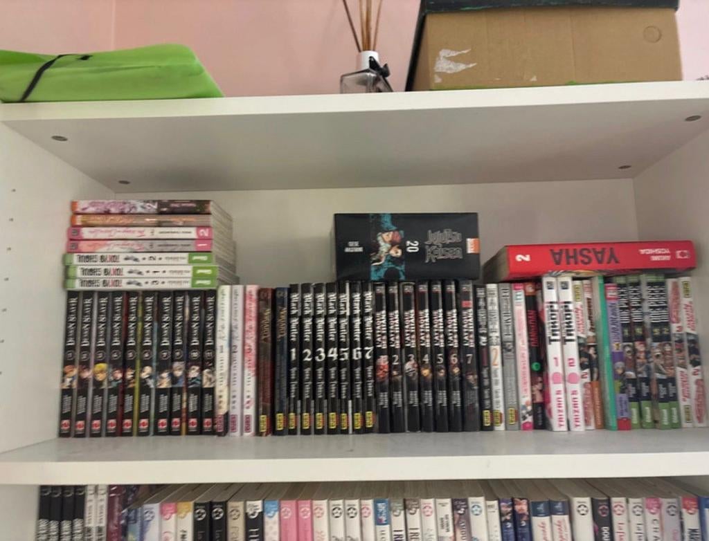 Collection de mangas