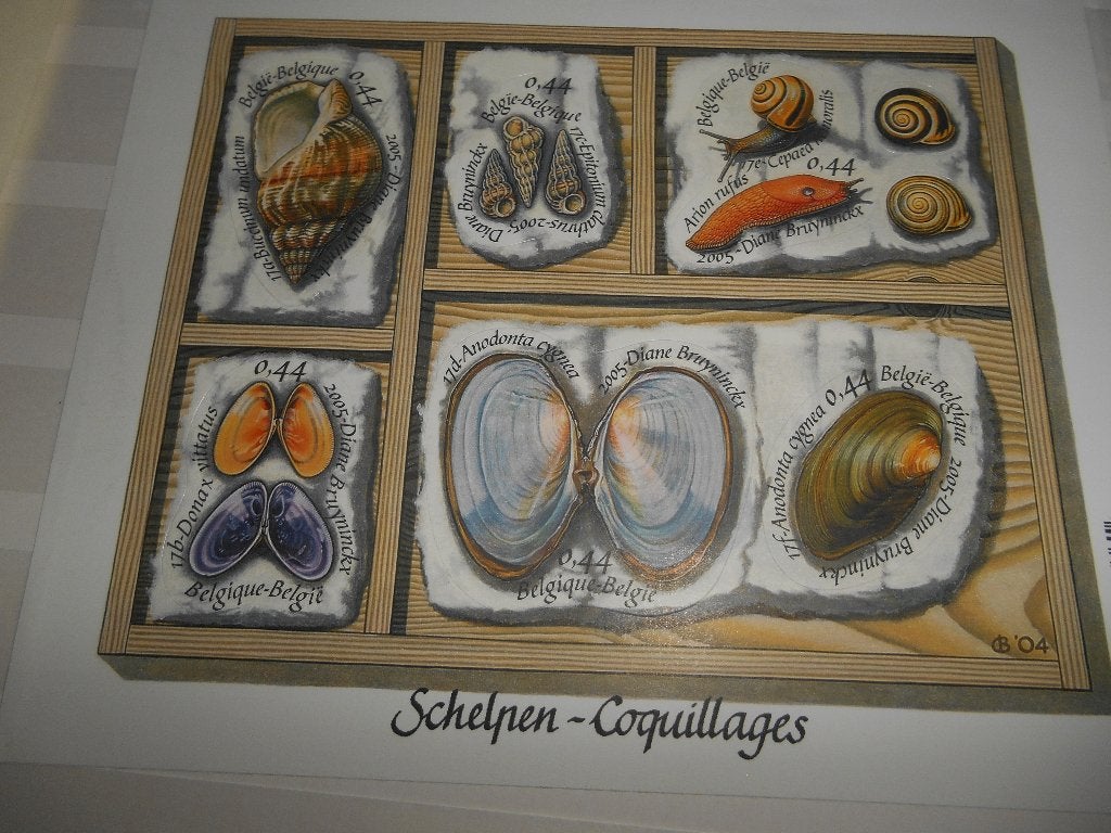 Feuillet Timbre Belge " Coquillages", Timbres & Monnaies, Timbres | Europe | Belgique, Enlèvement ou Envoi