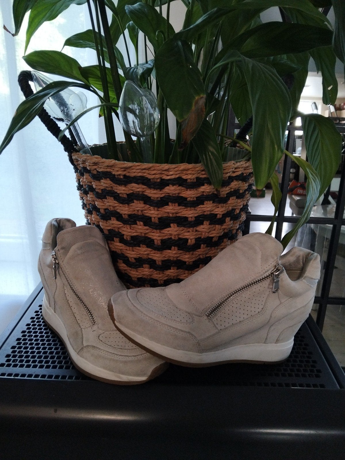 chaussures, basket, Enlèvement