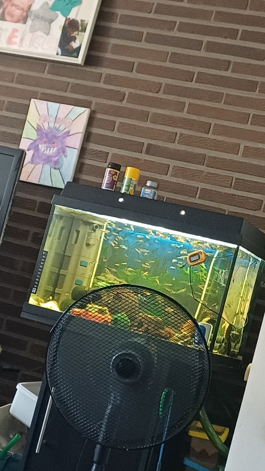 aqarium, Dieren en Toebehoren, Ophalen of Verzenden