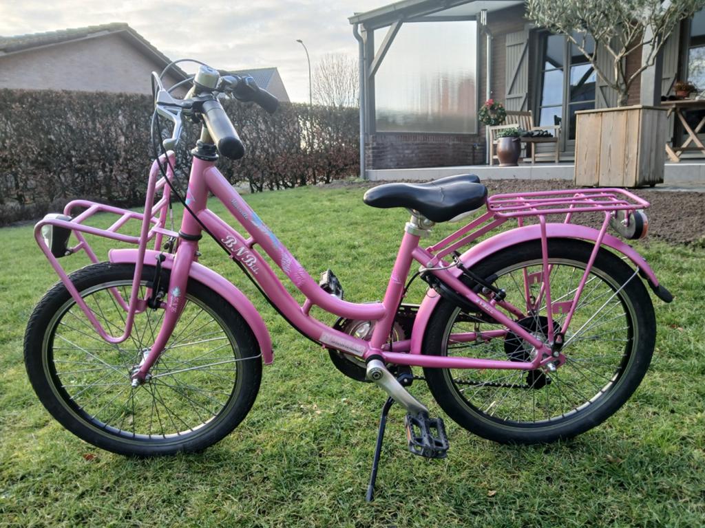 Meisjesfiets 20 inch, Fietsen en Brommers, Ophalen, 20 inch