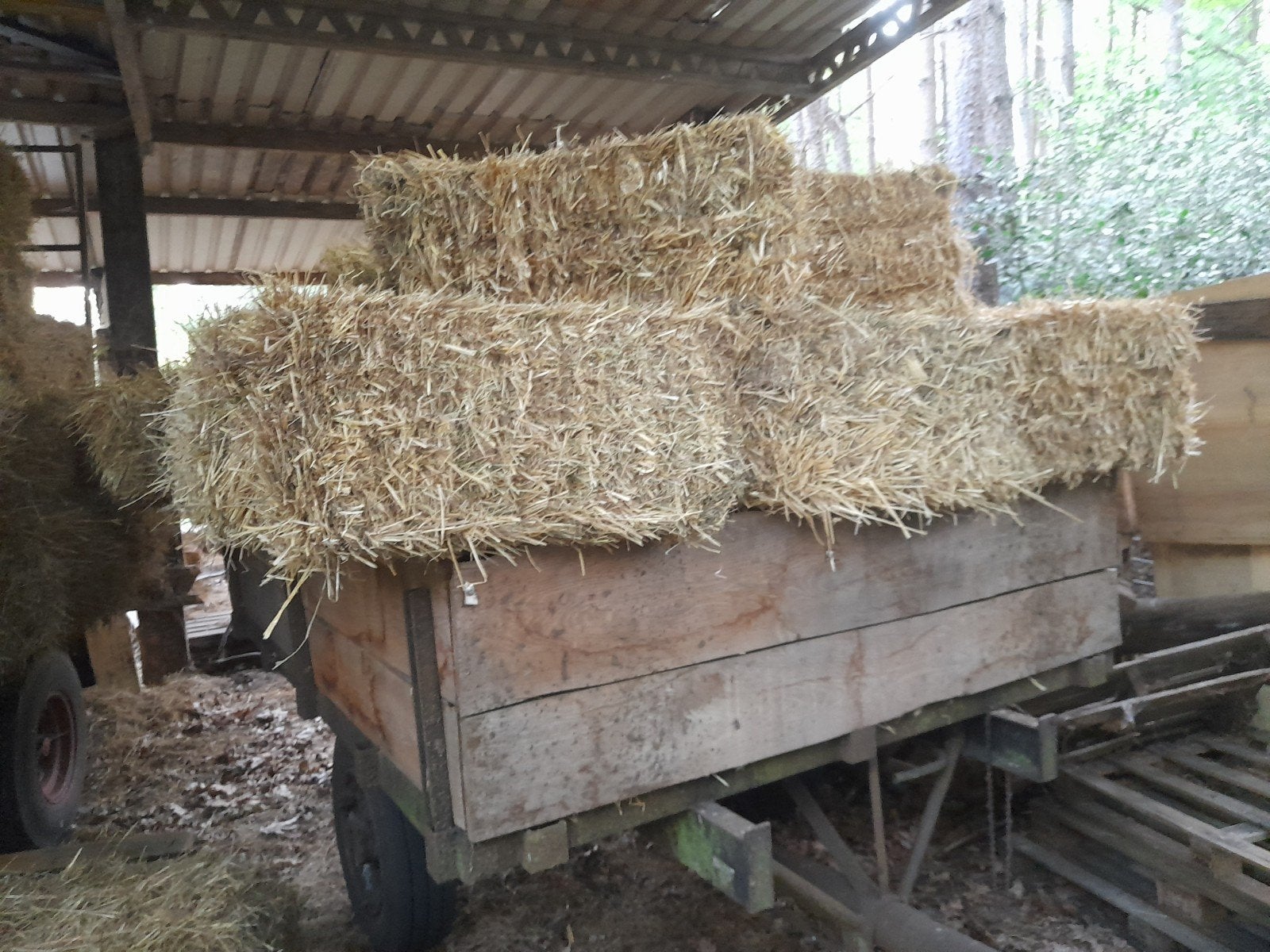 Stroo, Dieren en Toebehoren, Ophalen