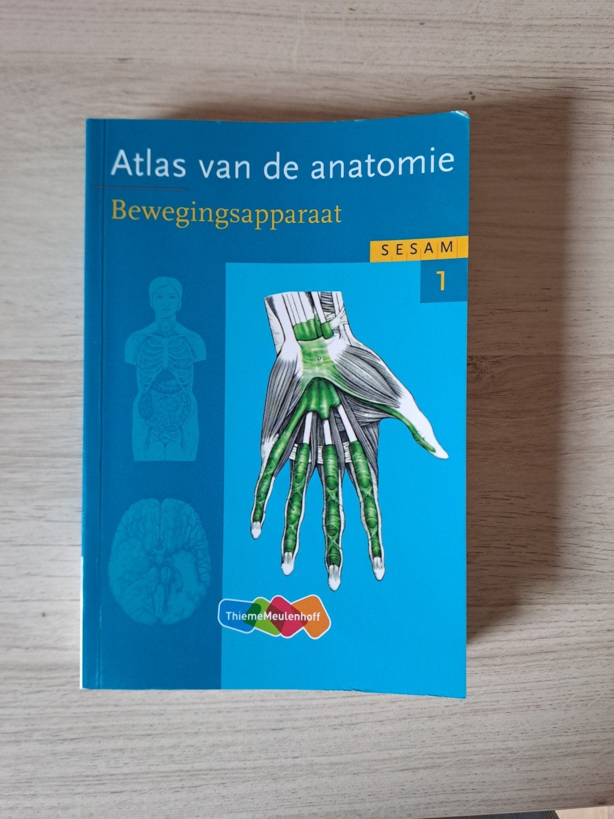 Sesam atlas van de anatomie - bewegingsapparaat, Ophalen of Verzenden
