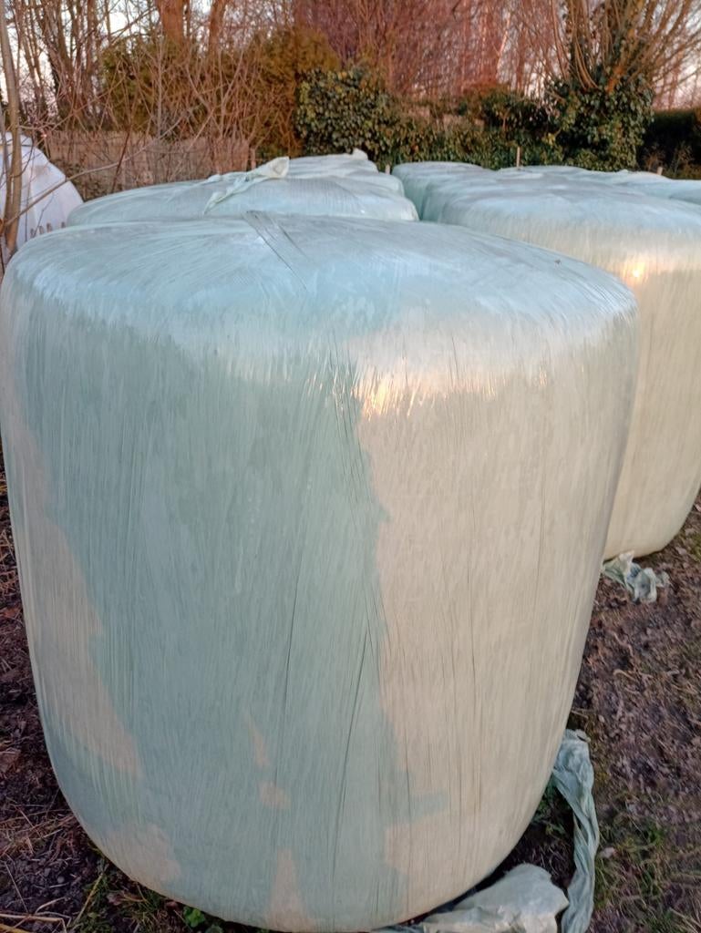 Maisbalen 500kg, Enlèvement ou Envoi