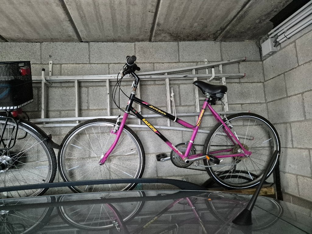 Fiets, Vélos & Vélomoteurs, Vélos | Femmes | Vélos pour femme, Autres marques, Vitesses, Frein sur jante, Enlèvement