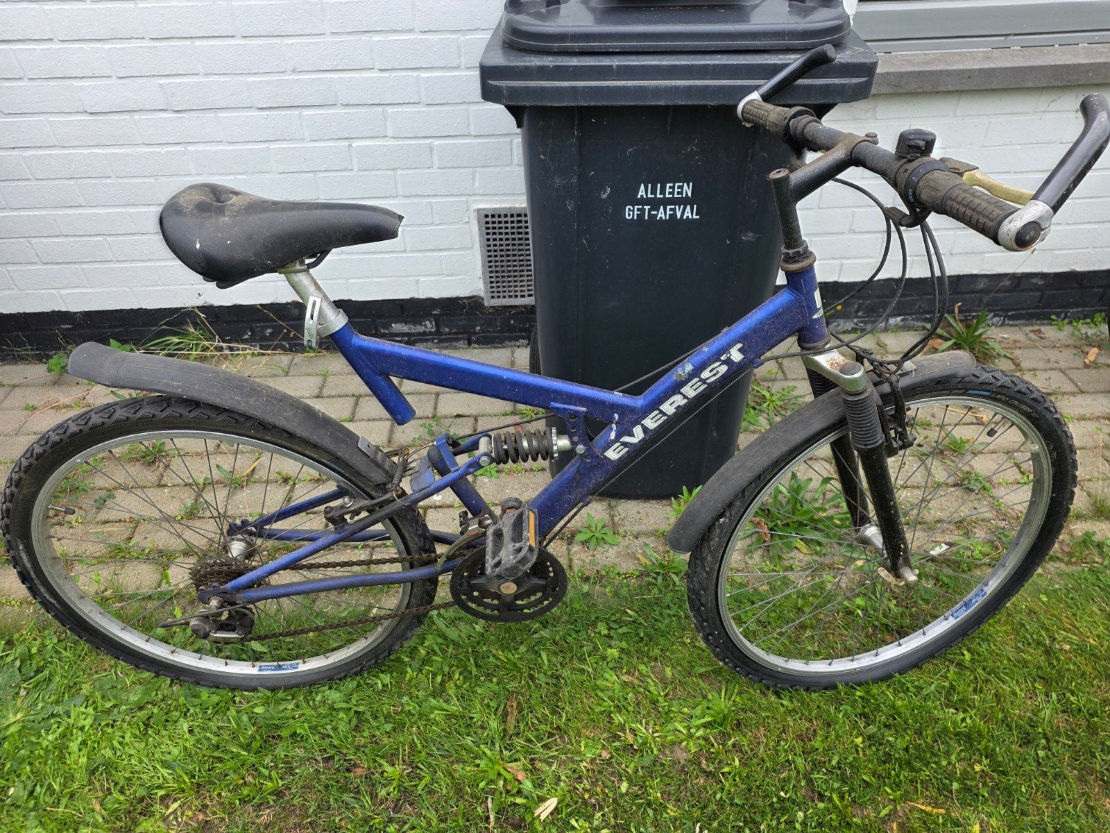 velo Everest bleu 21 vitesse, Vitesses, Frein sur jante, Enlèvement, Utilisé