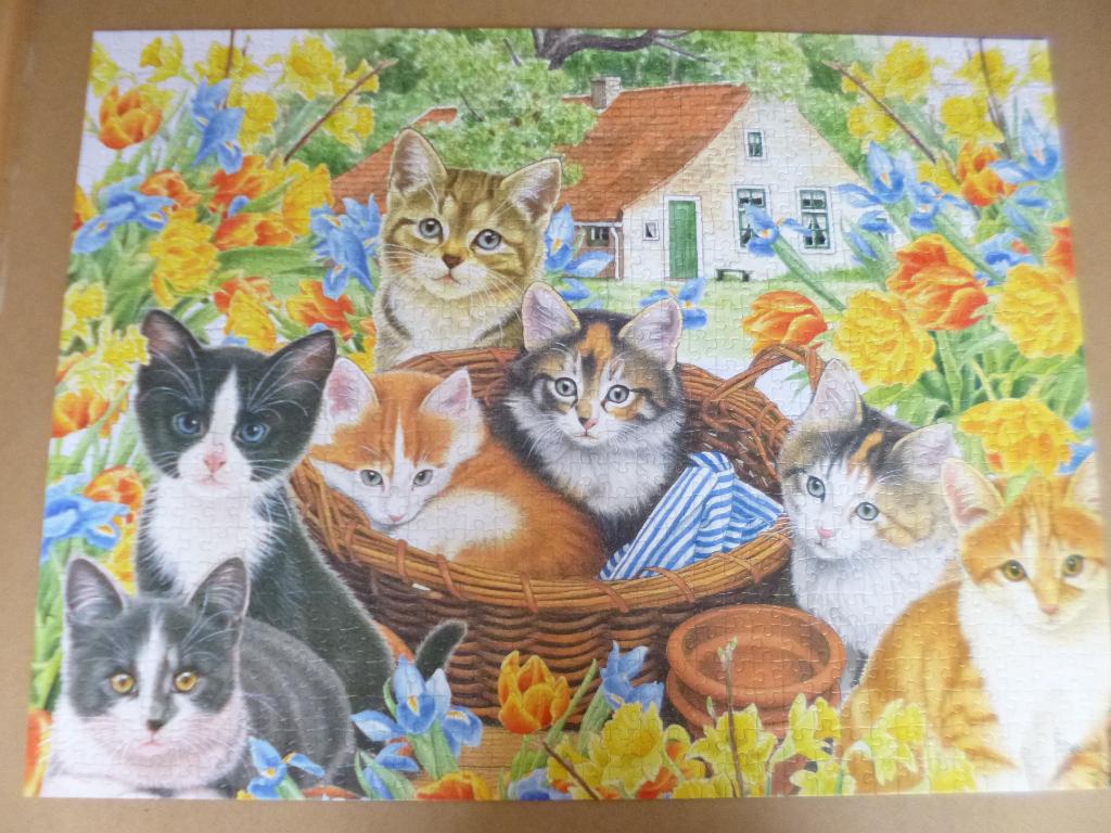 Puzzel poezen, Enlèvement ou Envoi