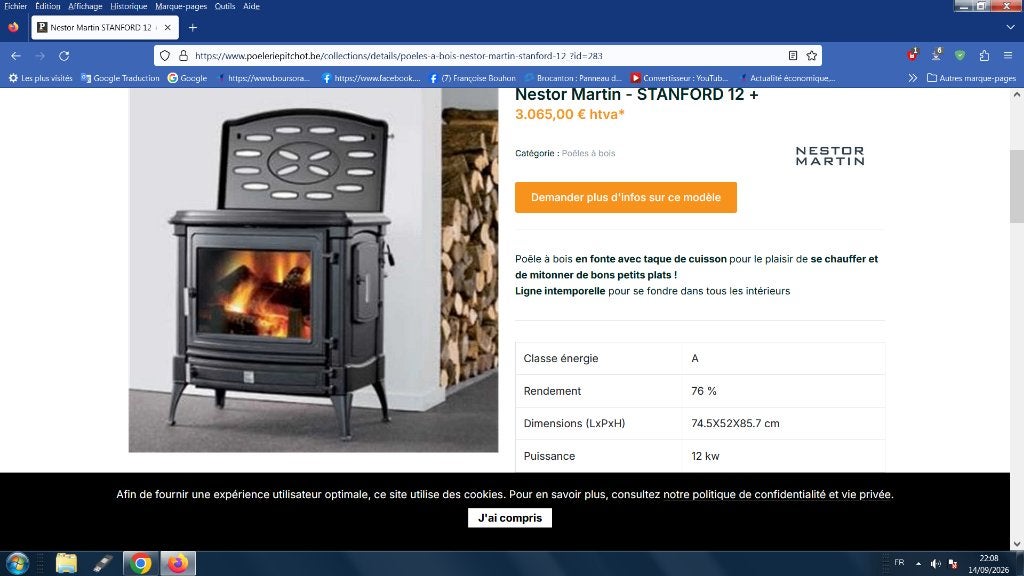 poele a bois fonte nestor martin, Maison & Meubles, Enlèvement, Bois