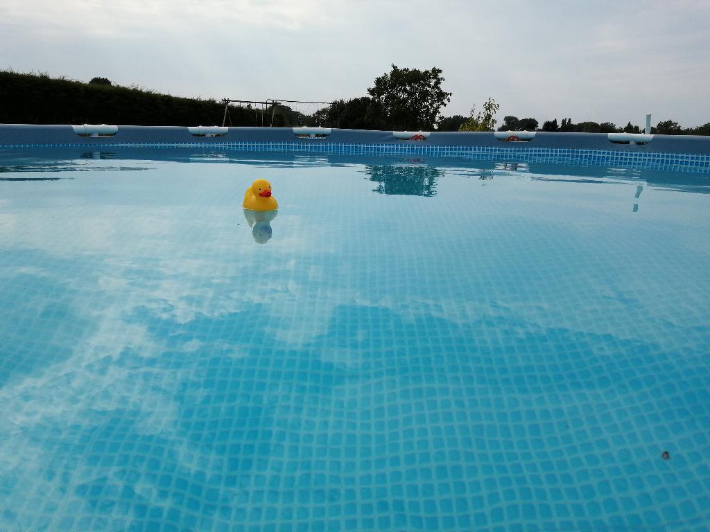 Piscine, Jardin & Terrasse, 300 cm ou plus, Rond, Enlèvement, Utilisé