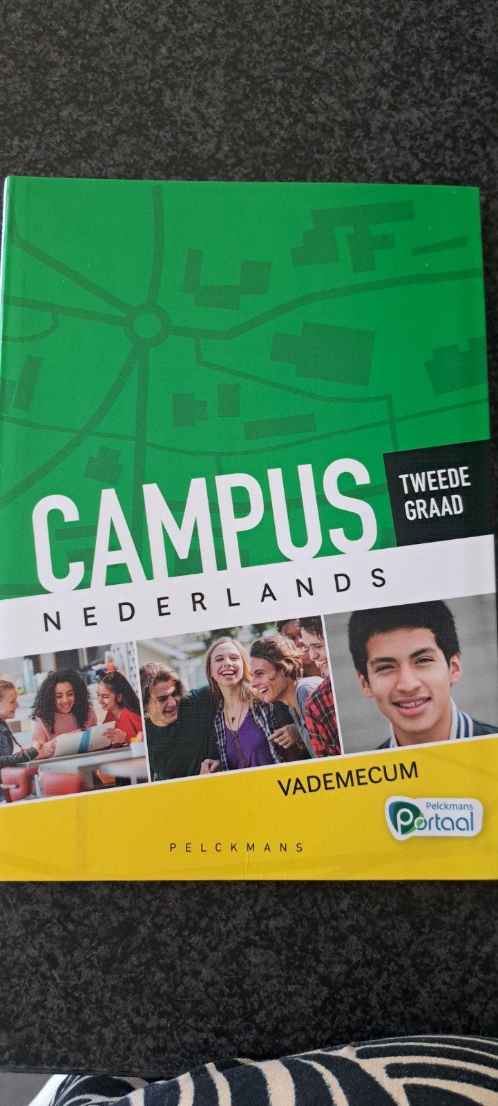 Campus Nederlands Vademecum Tweede graad (incl. Pelckmans Po, Boeken, Schoolboeken, Ophalen of Verzenden, Nederlands