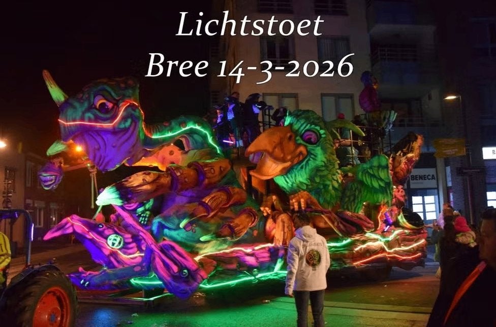 Carnavalswagen - Polyester, Ophalen, Zo goed als nieuw, Feestartikel
