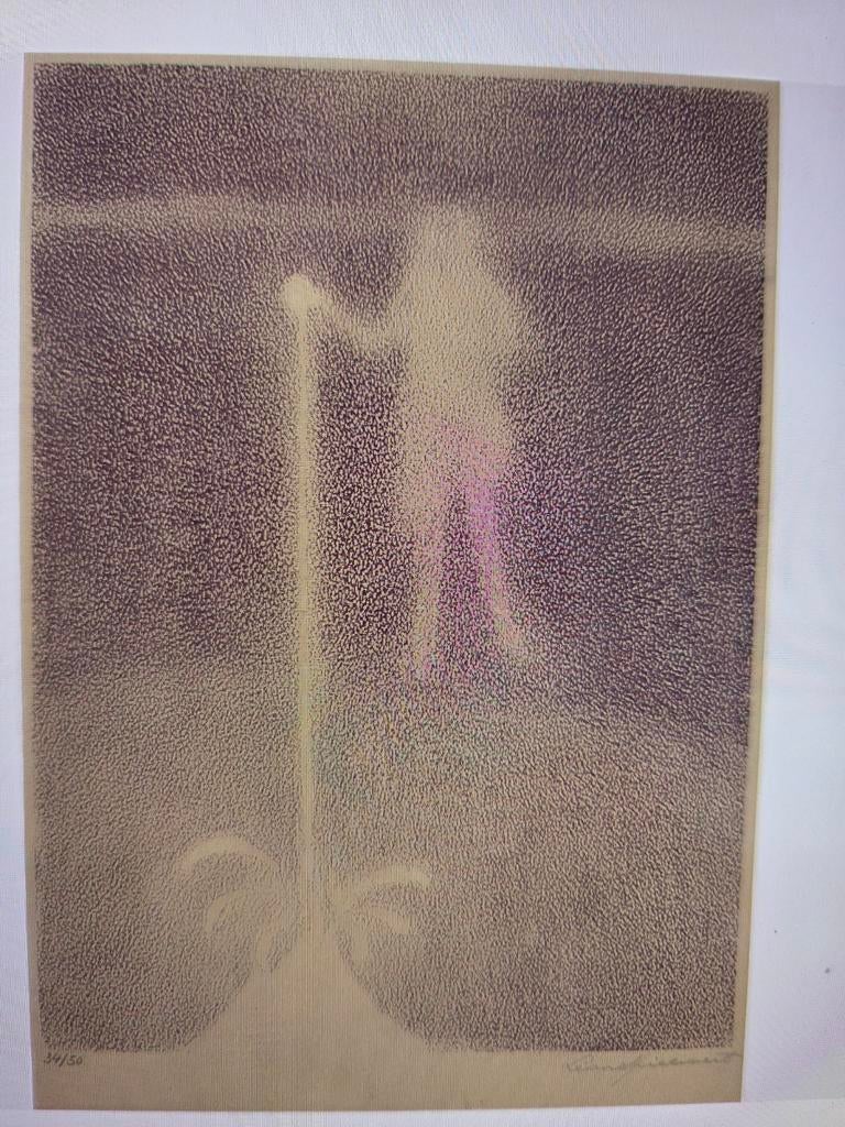 Leon spilliaert, ik ben op zoek naar deze litho, Ophalen of Verzenden