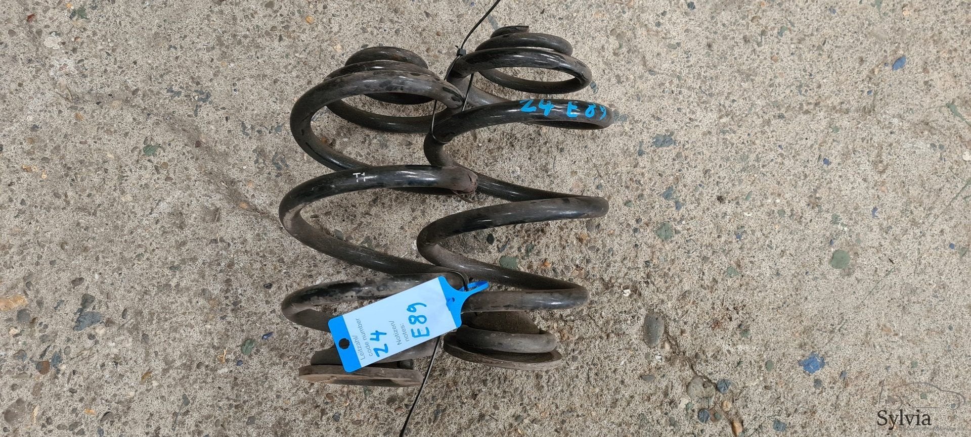 Achterveren Spiraal set van 2 links en rechts BMW Z4 E89, Gebruikt, -, -, Ophalen of Verzenden