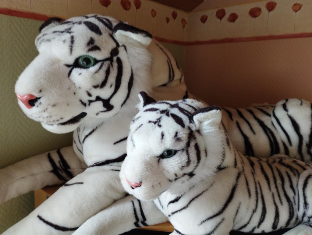 Peluches géantes tigres blancs, Enlèvement