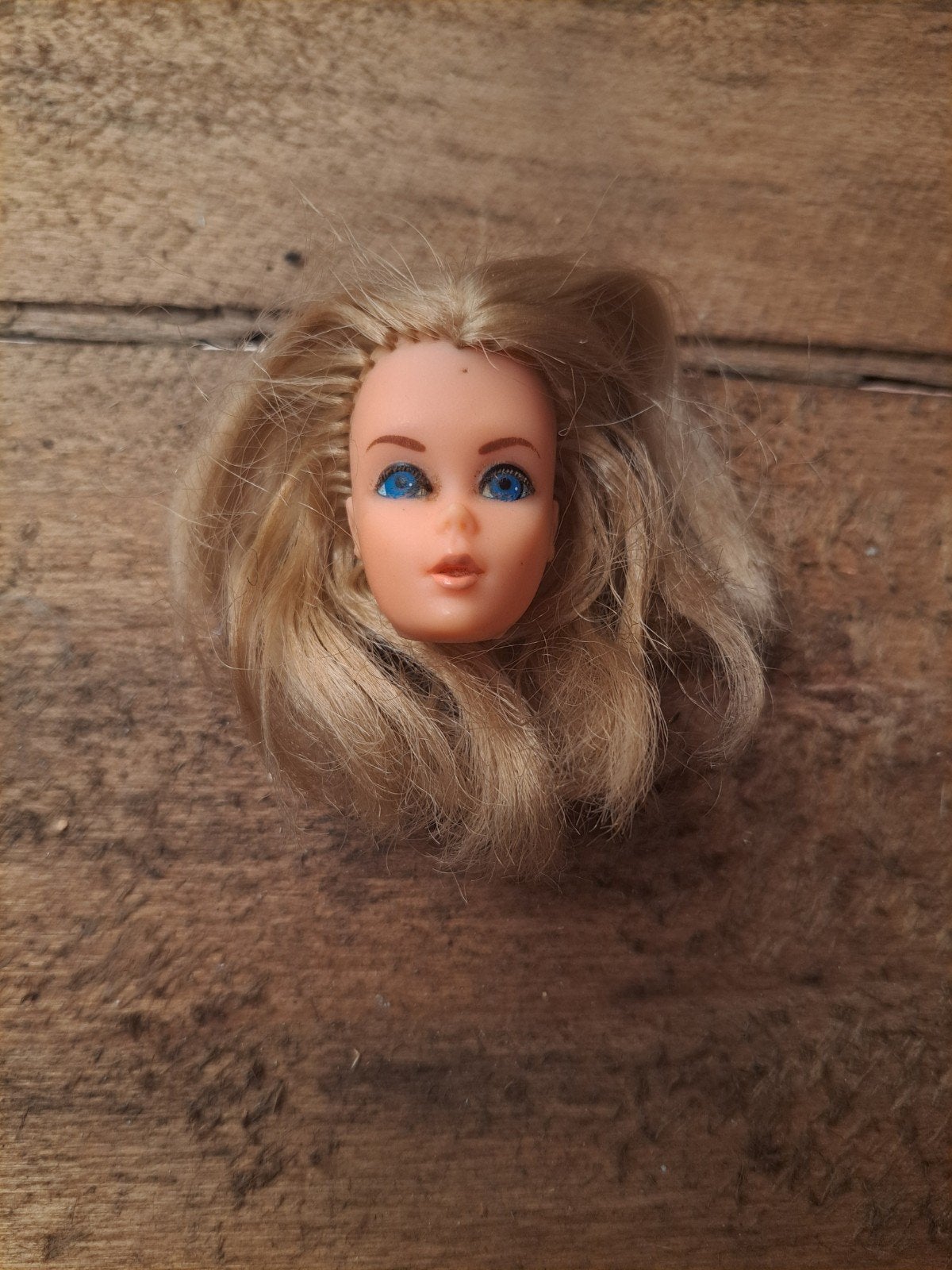 barbie, Enlèvement ou Envoi
