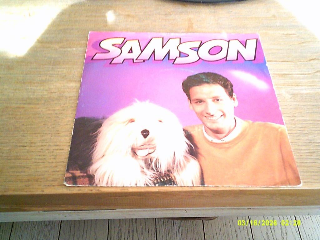 Het Samson Lied Vinyl singel ZGST., 1990 - 1999, Overige formaten, Ophalen of Verzenden, Pop