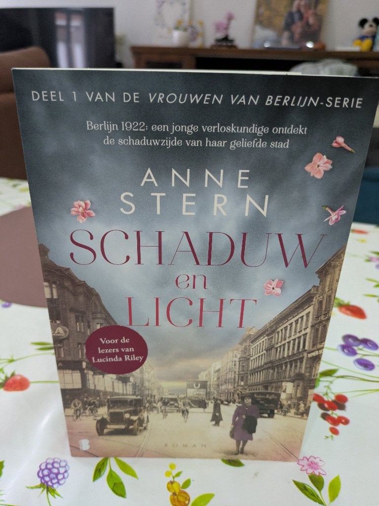 Anne Stern - Schaduw & licht, Boeken, Ophalen, Gelezen, Anne Stern