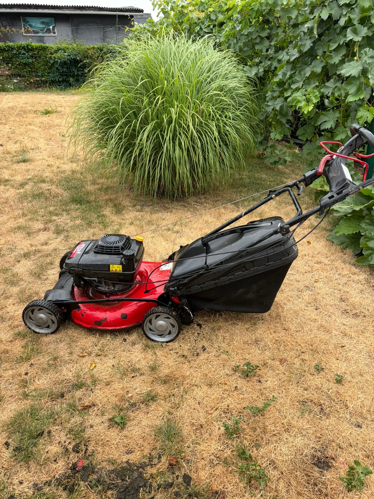 Tondeuse. Mtd pro, Jardin & Terrasse, Fonction de mulching, Tondeuses à gazon à essence, Utilisé, Tondeuse à poutre
