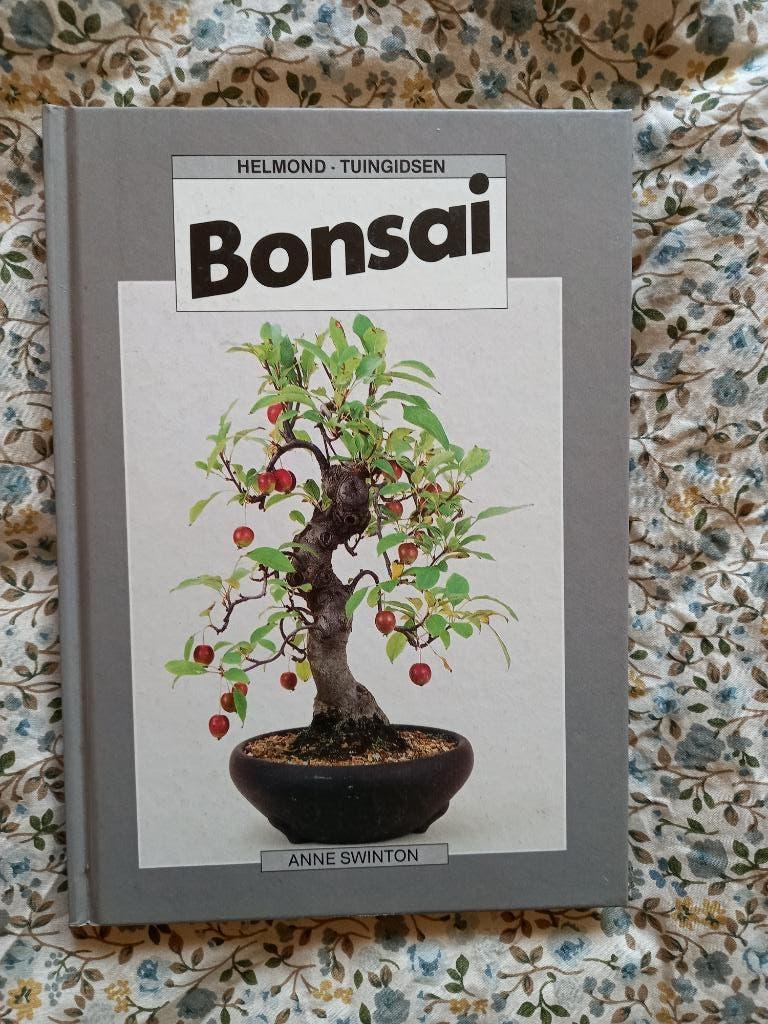 Bonsai, Ophalen of Verzenden, Zo goed als nieuw, Geschikt voor kinderen, Overige onderwerpen