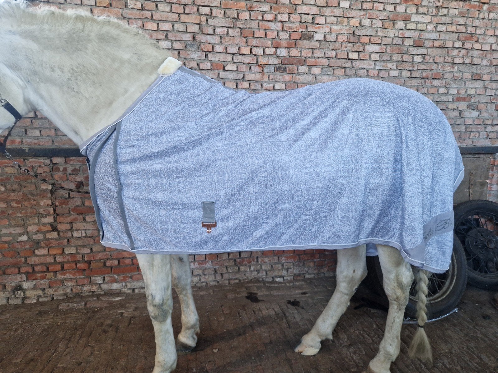 Vliegendeken 165/205, Dieren en Toebehoren, Paarden en Pony's | Dekens en Dekjes, Full (L), Ophalen, Nieuw, Vliegendeken
