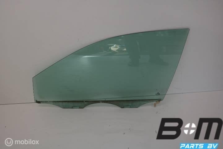 Portierruit links voor VW Polo 9N3, Utilisé