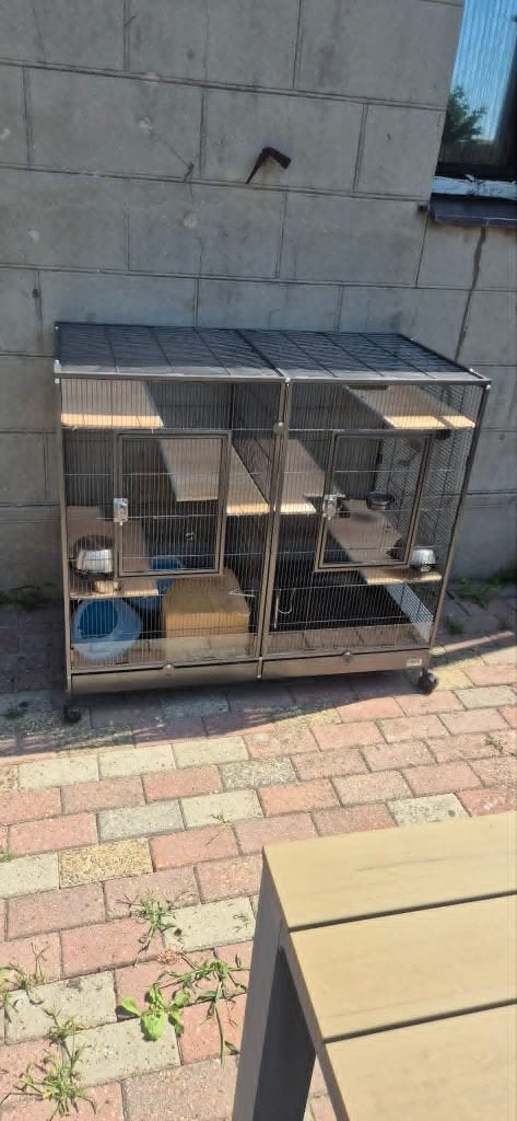 Cage à rongeurs Savic Tasmania 120, 90 cm ou plus, Cage, Cobaye, Enlèvement