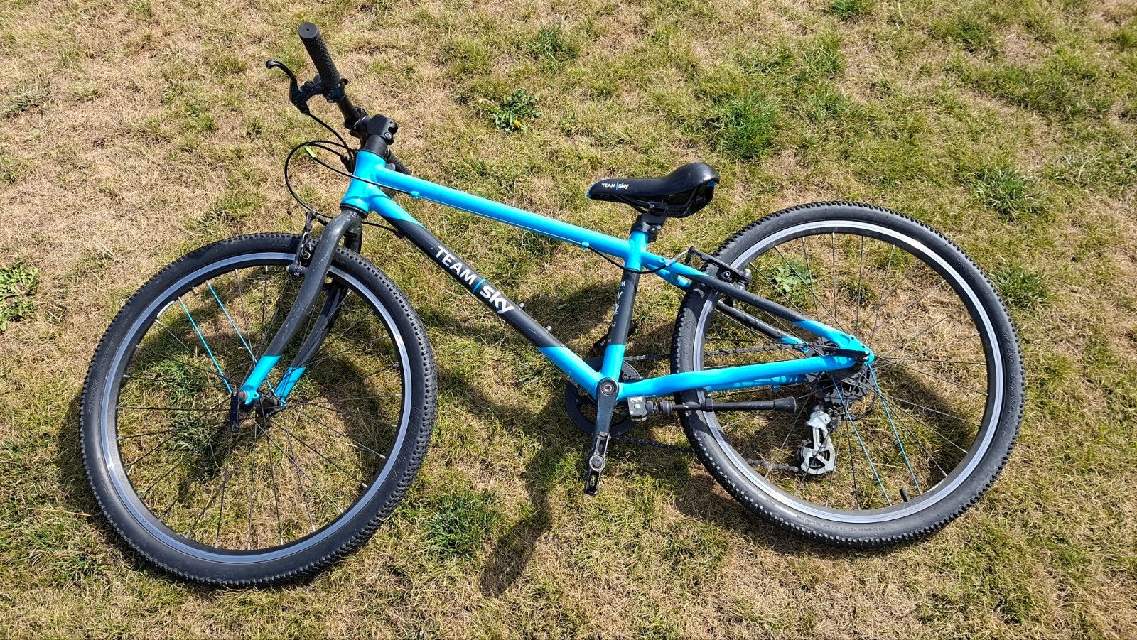 Frog Kinderfiets Team Sky uitvoering, Ophalen, Gebruikt, Frog Bikes, Velgrem