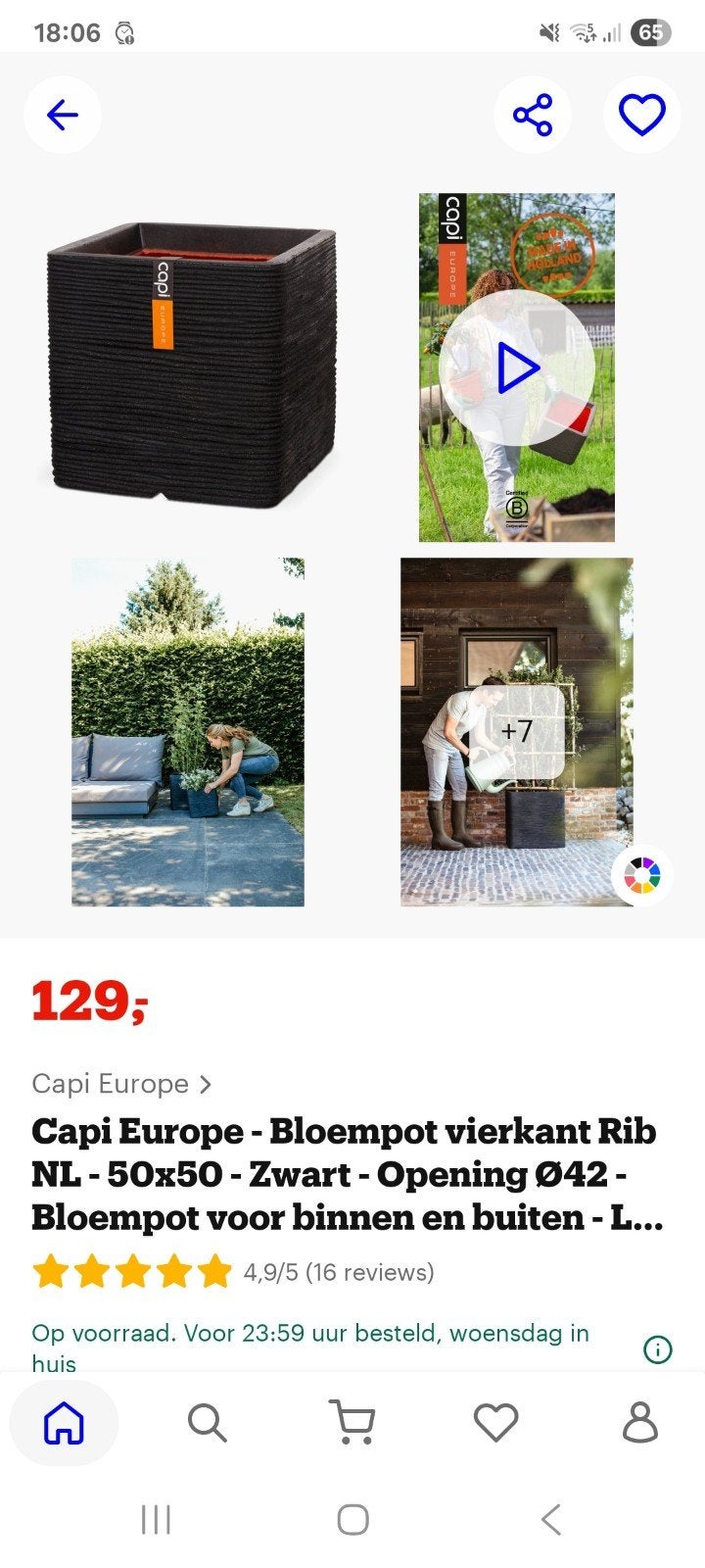 Olijfboom, Tuin en Terras, Ophalen