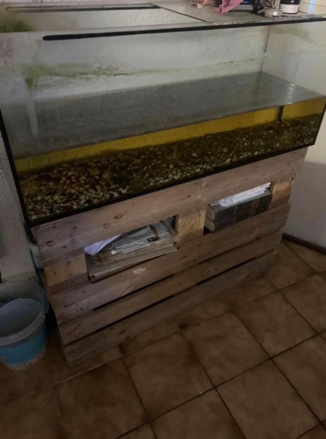 Aquarium 200L, Animaux & Accessoires, Enlèvement, Sera