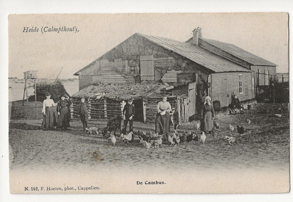 kalmthout pk de cambus animatie, Ophalen of Verzenden, Voor 1920, Gelopen, Antwerpen