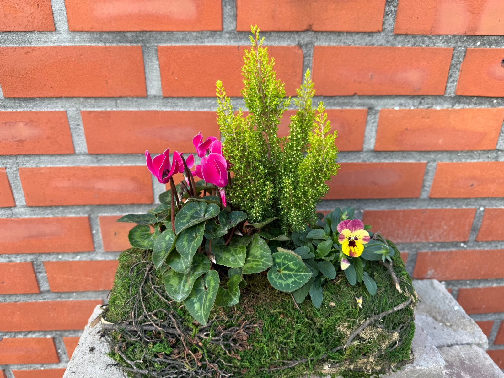 Opgevulde plantenmand, Ophalen, Herfst