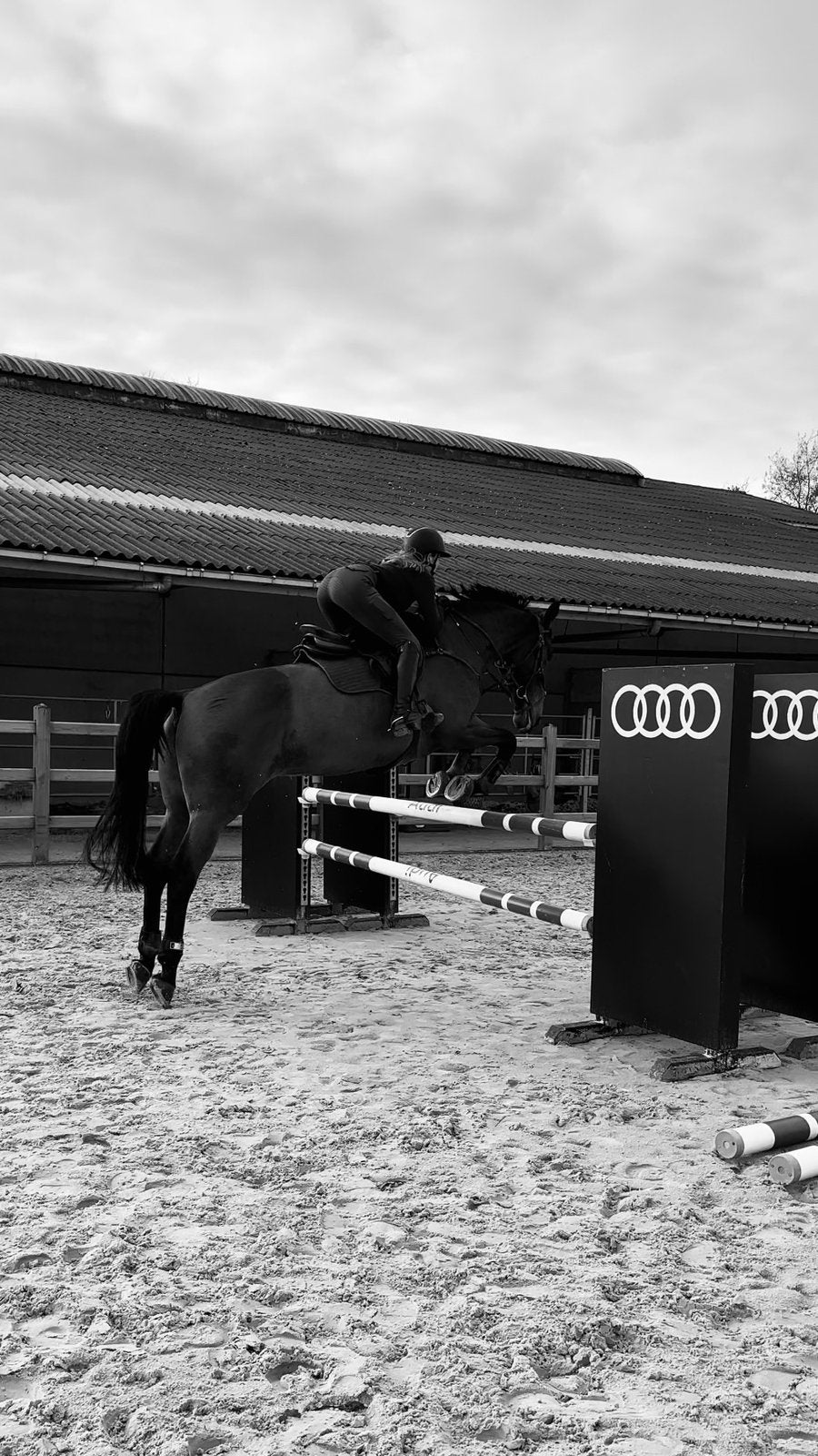 Halve stal paard gezocht, Ophalen of Verzenden, Zo goed als nieuw