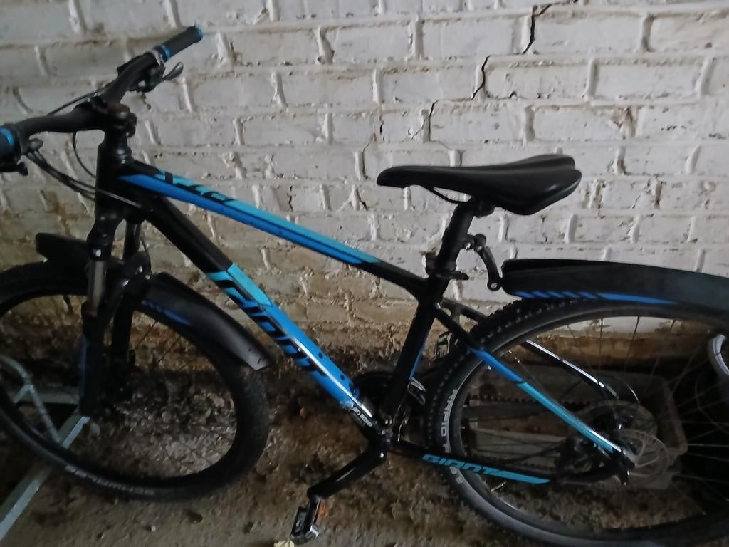Giant, Fietsen en Brommers, Ophalen, Giant