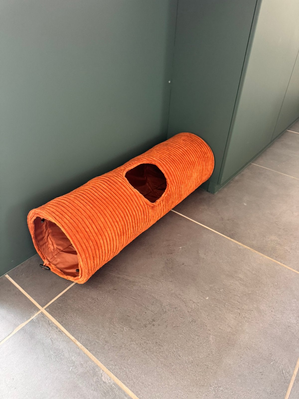 Tunnel voor katten, Ophalen, Zo goed als nieuw, Speeltunnel