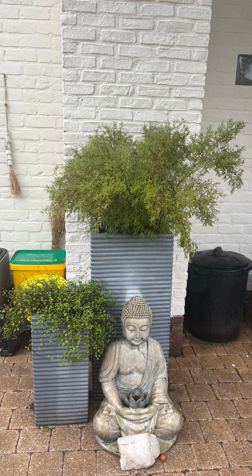 Kwaliteit plantenbakken incl planten Vorstvrij!, Ophalen
