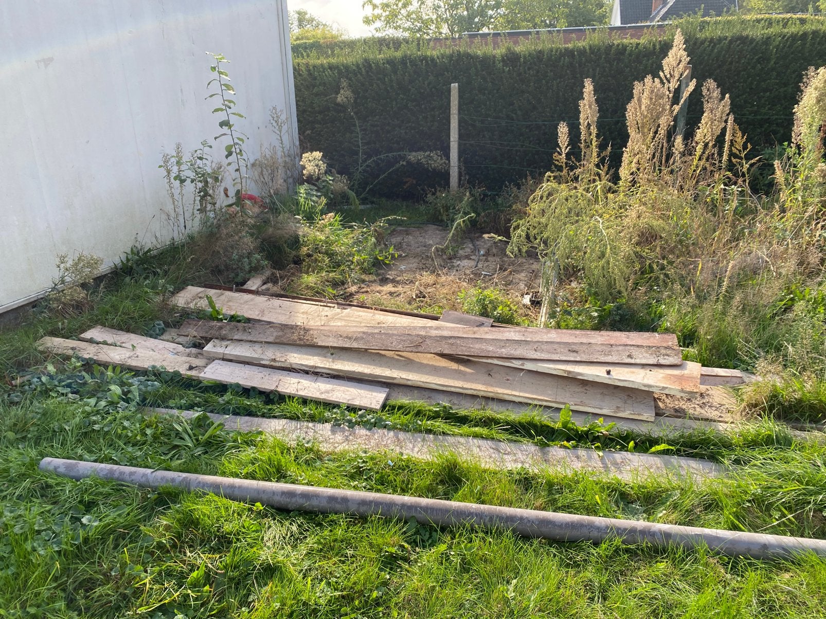 Hout, Enlèvement