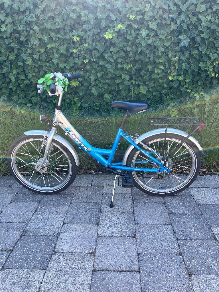 Meisjesfiets 20 inch, Ophalen, 20 inch of meer, Gebruikt, Velgrem