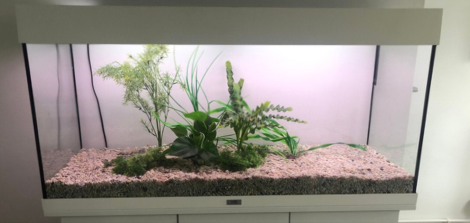 Juwel Rio 180,zie omschrijving, Dieren en Toebehoren, Ophalen, Leeg aquarium, Juwel, Gebruikt